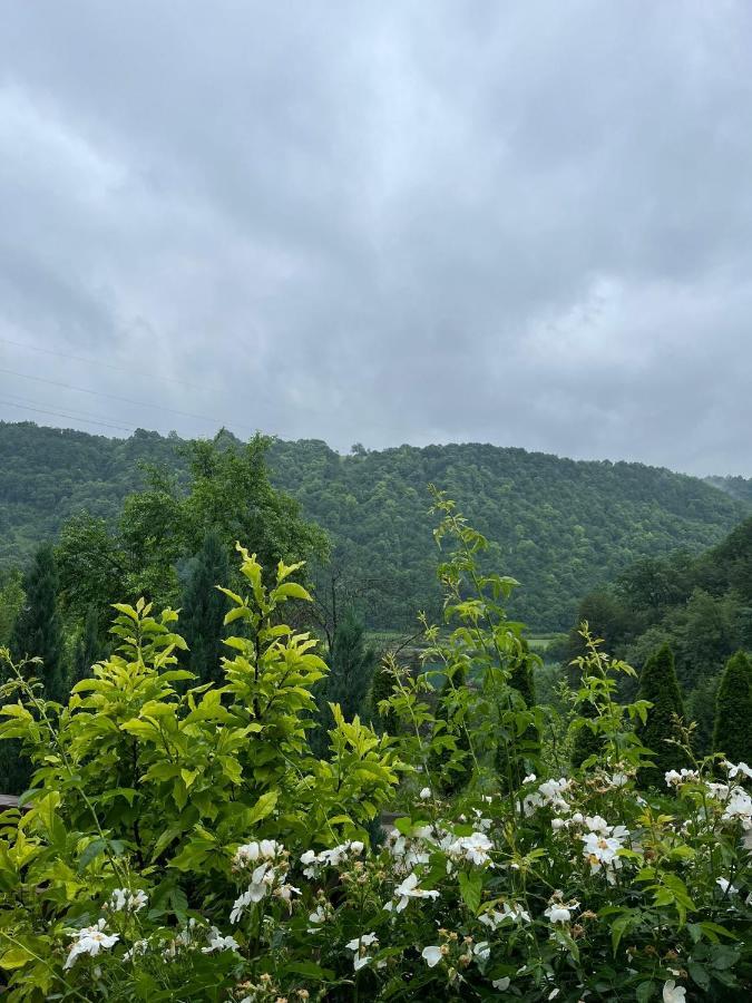 Villa Nature Bihać Zewnętrze zdjęcie